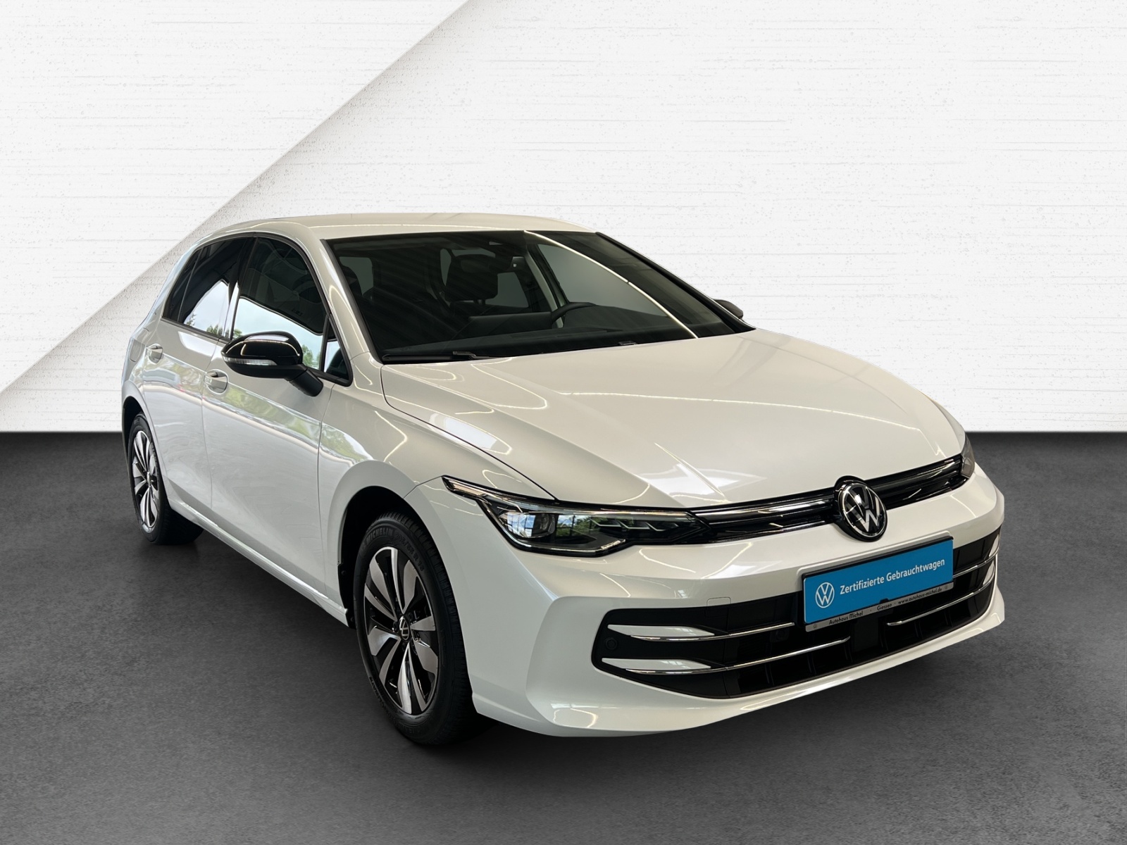 Golf VIII 2.0 TDI DSG Goal LED-Plus TravelAssist Navi AHK