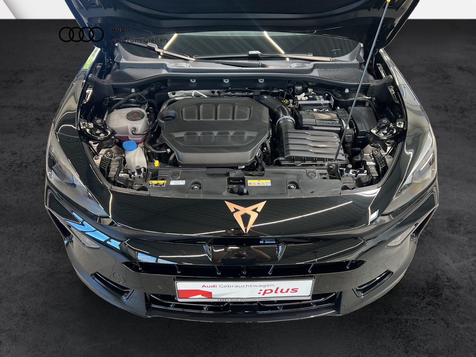 Formentor 2.0 TSI 4Drive DSG VZ AHK MATRIX NAVI DCC ACC