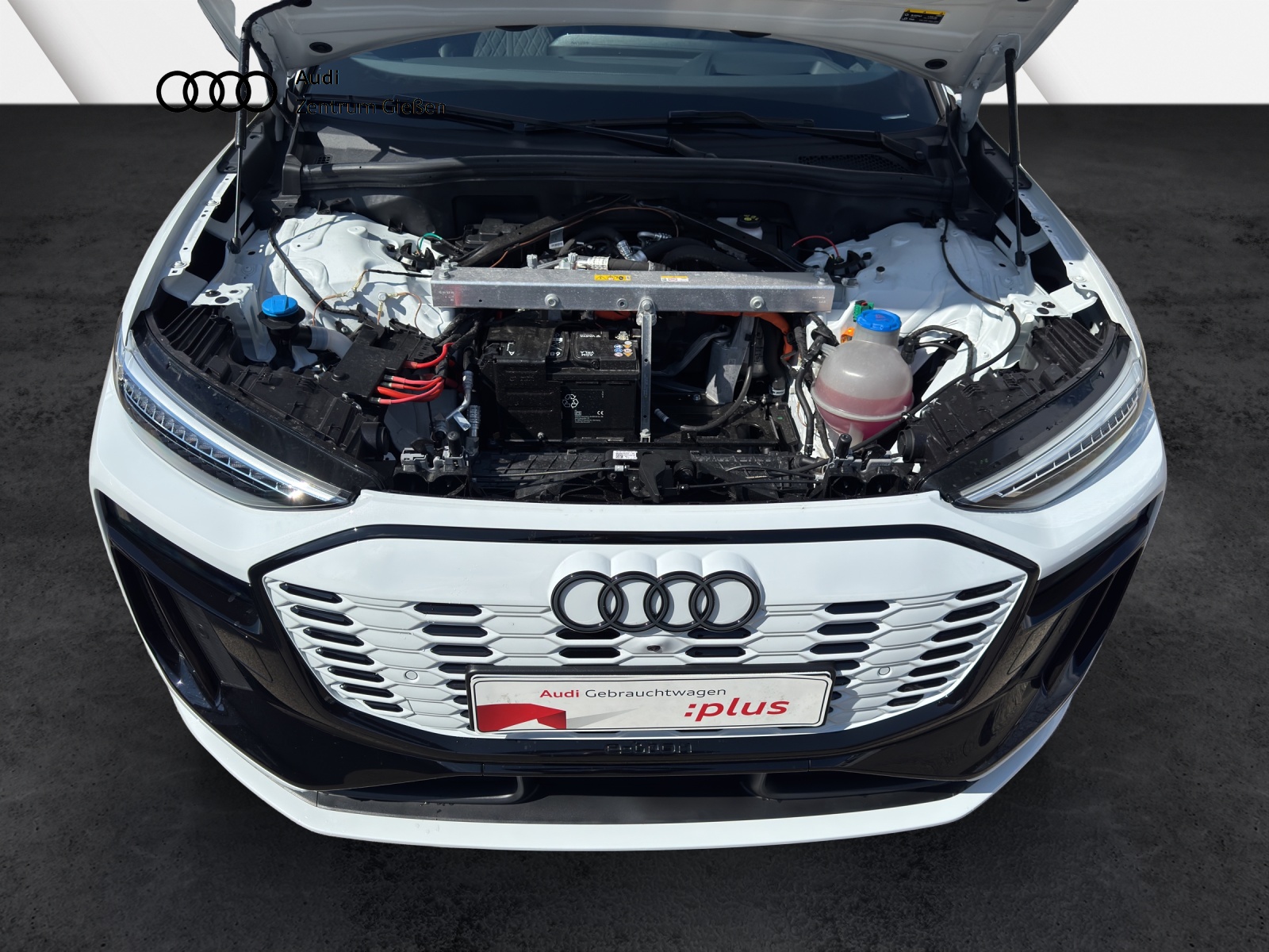 SQ6 e-tron quattro AHK Pano B&O Tech-pro