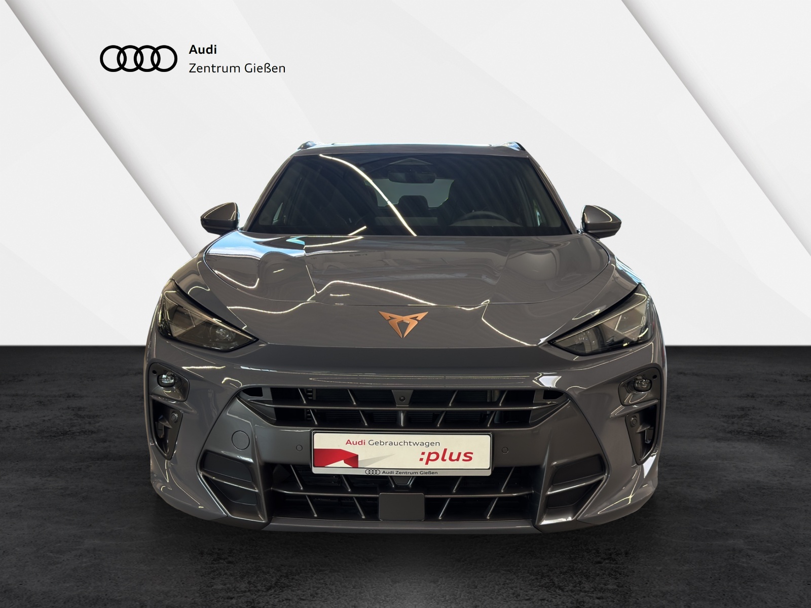 Terramar 2.0 TSI 4Drive VZ HuD AHK PANO MATRIX AKEBONO Sennheiser