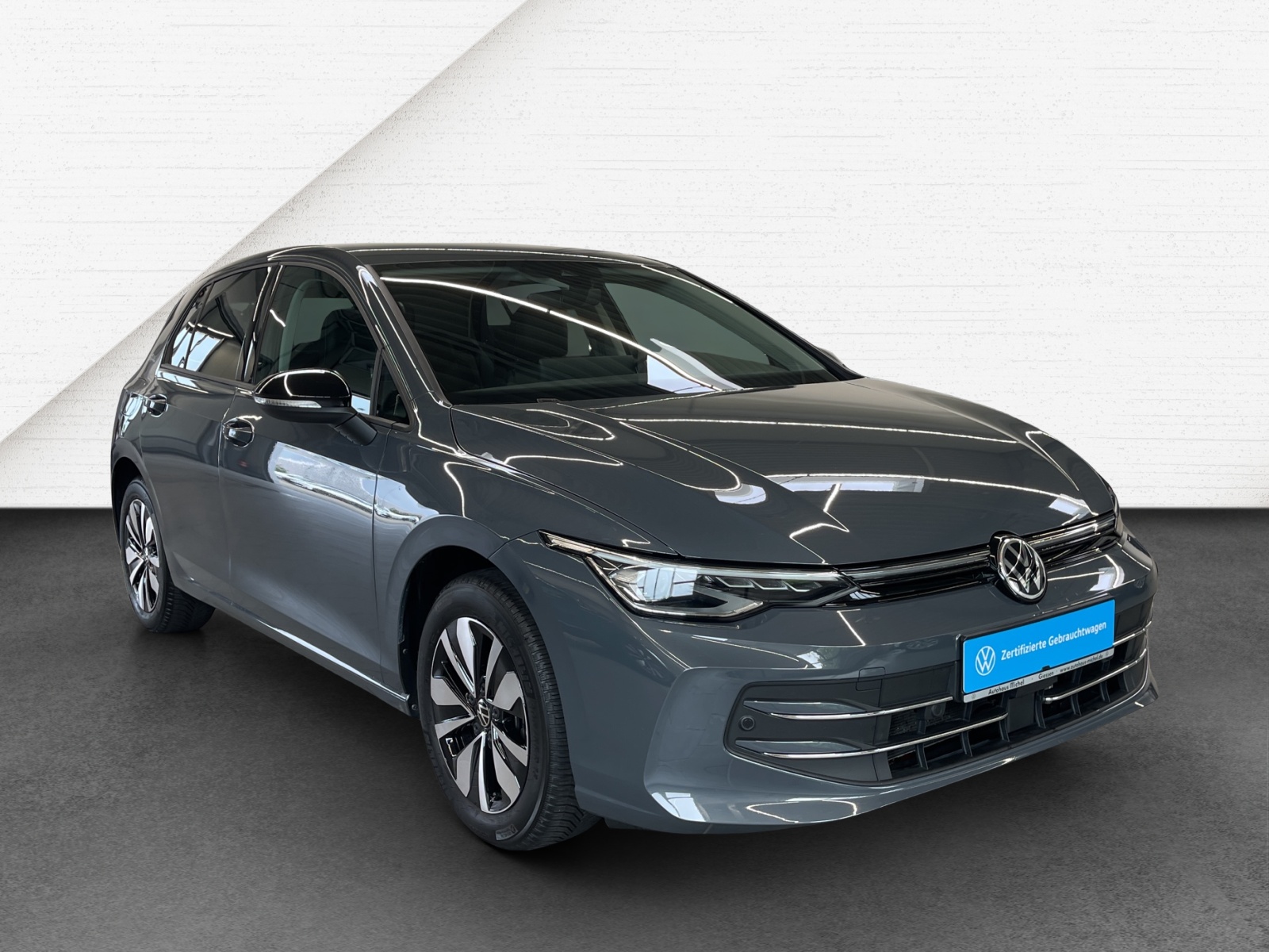 Golf VIII 2.0 TDI DSG Goal LED-Plus TravelAssist Navi AHK