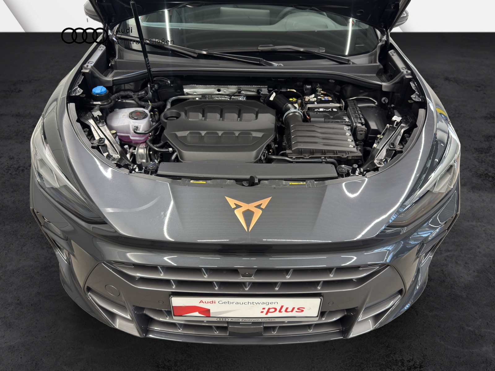 Terramar 2.0 TSI 4Drive VZ AHK DCC HuD PANO ACC Navi