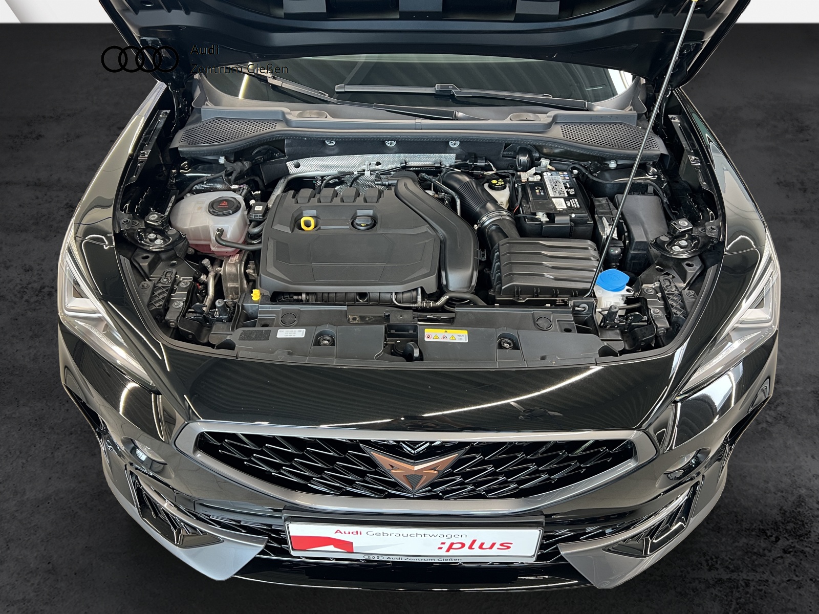 Formentor 1.5 TSI DSG LED Navi Rückfahrkamera