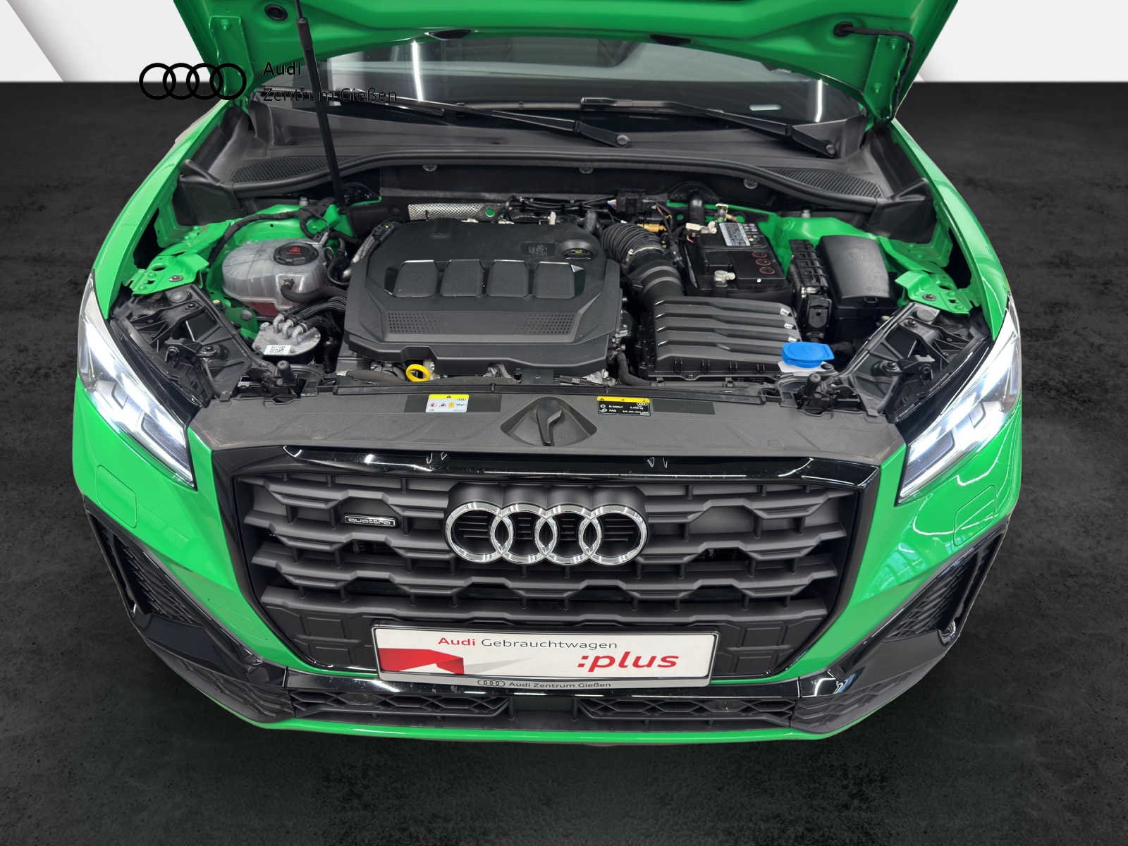 Q2 35 TDI quattro S line Black MATRIX-LED PANO