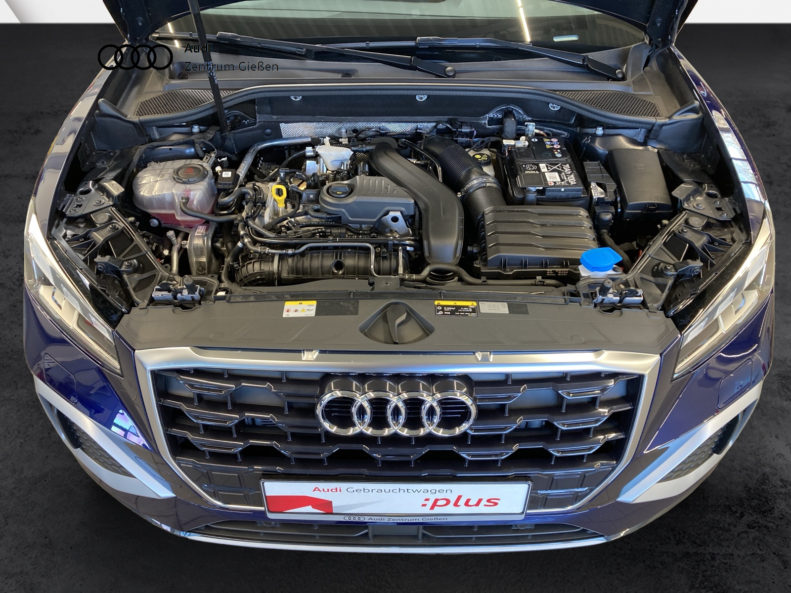 Q2 35 TFSI S tronic advanced MATRIX-LED ACC Assist-Parken Sitzheizung vorne