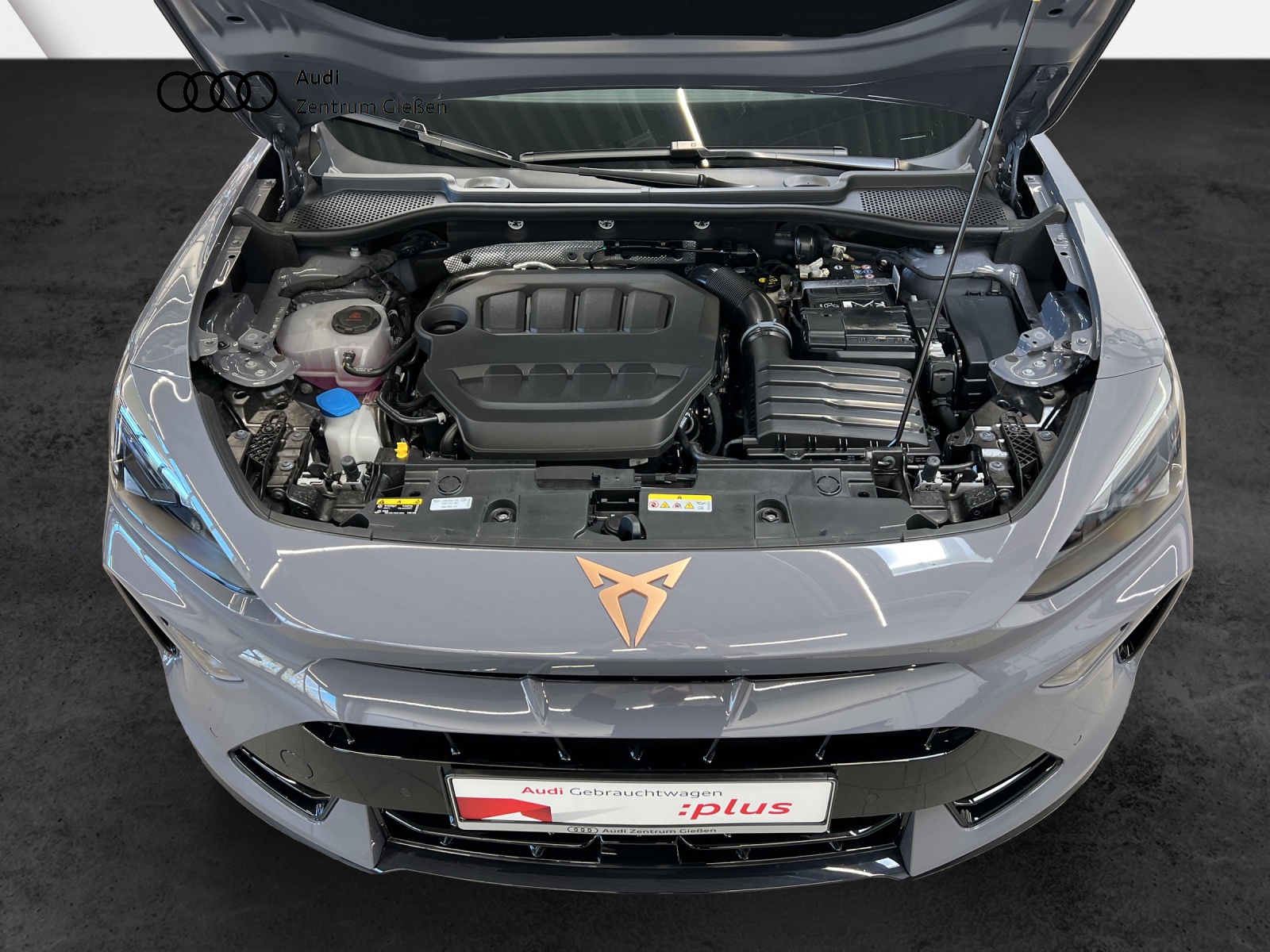 Formentor 2.0 TSI 4Drive DSG VZ PANO DCC ACC