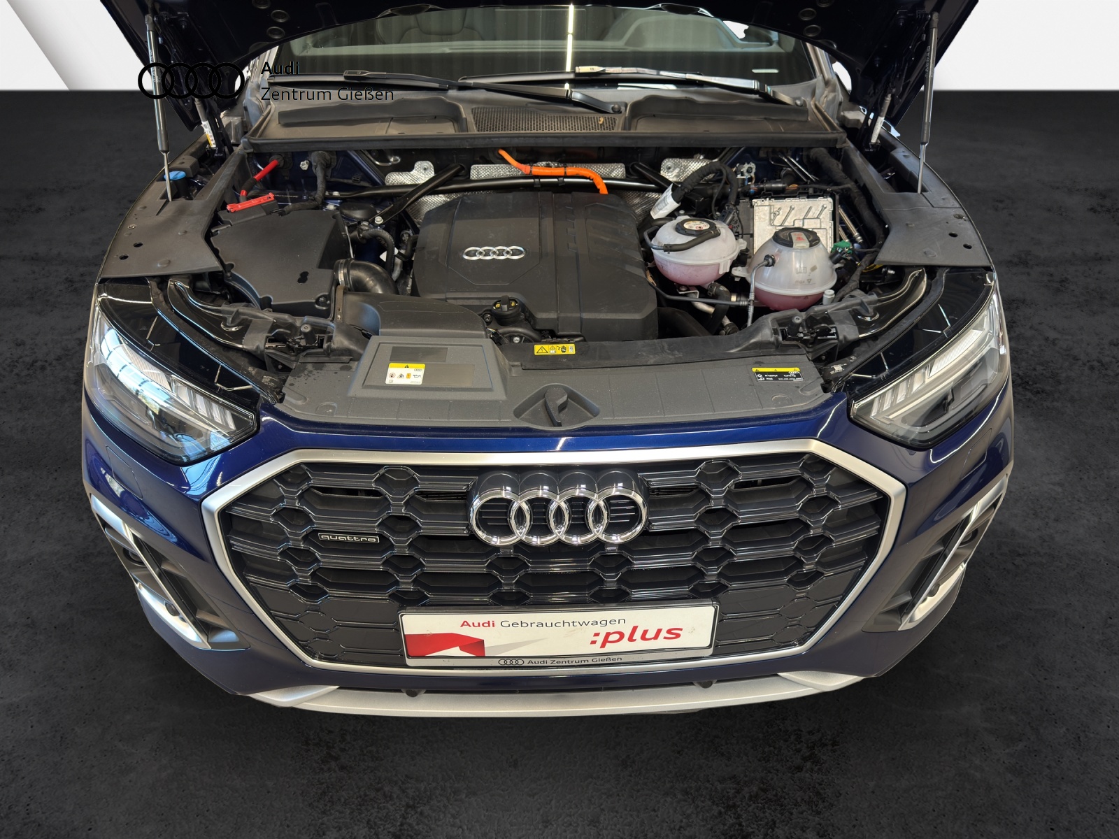Q5 50 TFSI e quattro S line AHK B&O Matrix Pano