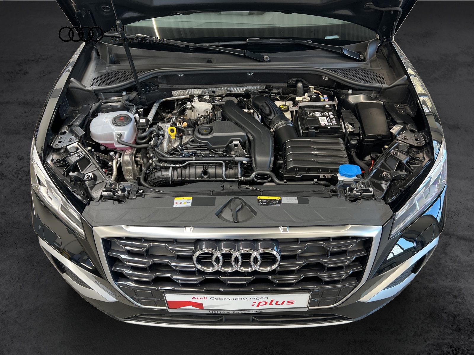 Q2 35 TFSI S tronic advanced MATRIX-LED ACC Assist-Parken Sitzheizung vorne