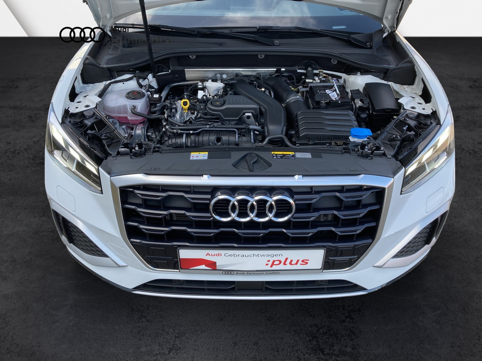 Q2 35 TFSI S tronic advanced MATRIX-LED ACC Assist-Parken Sitzheizung vorne