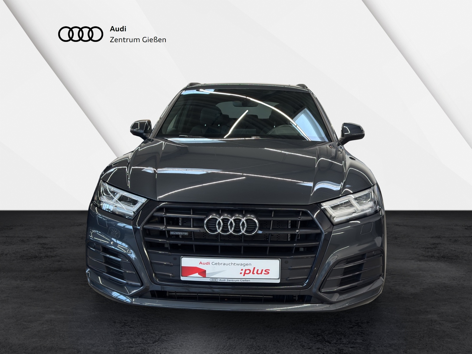 Q5 50 TFSI e quattro S line Black HuD Pano Navi LED